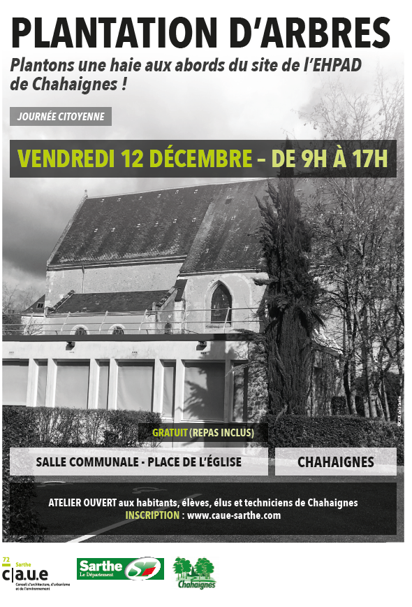 plantation d'arbres
